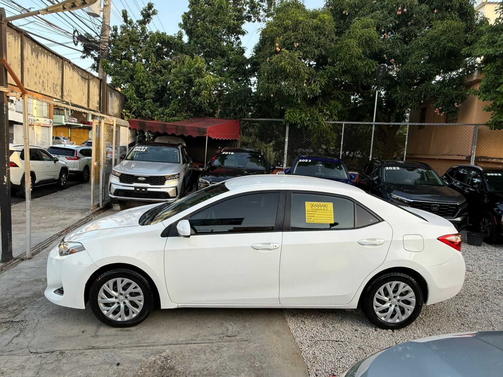 Toyota Corolla LE 2019  en Santo Domingo Este Foto 7293428-3.jpg