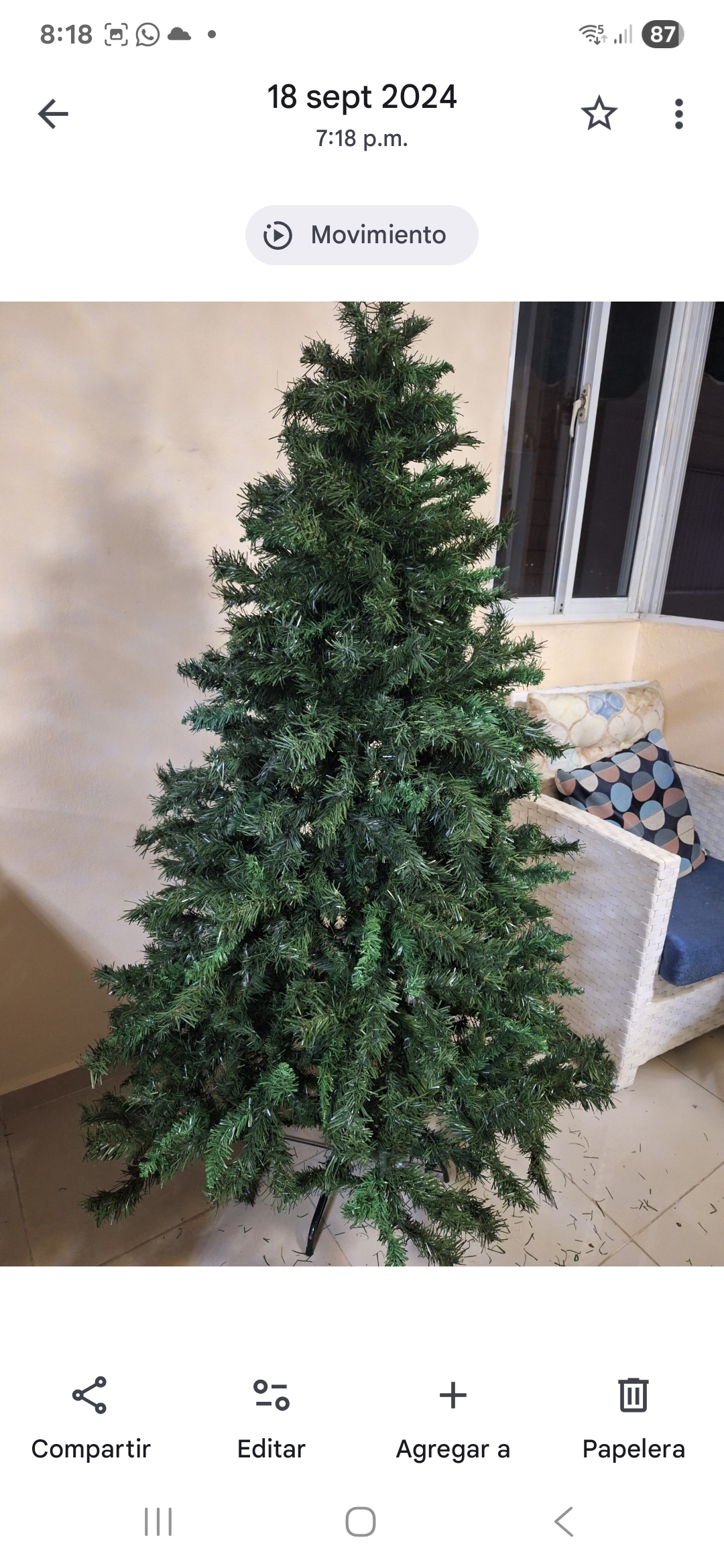 Arboles de navidad como nuevos Foto 7293558-3.jpg