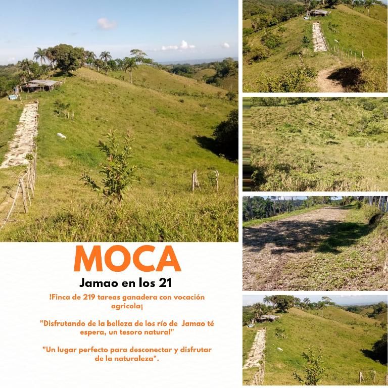 Finca de 219 tareas ganadera en Moca Foto 7293688-1.jpg