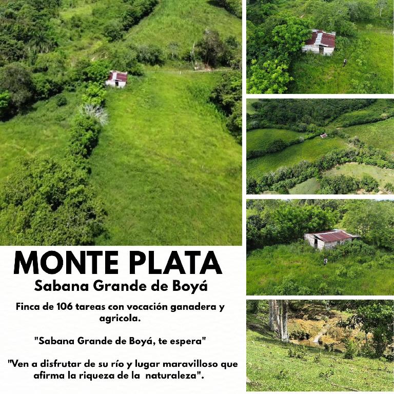 Finca de 106 Tareas con vocación Agrícola y Ganadera en  sabana Grande Foto 7293690-1.jpg
