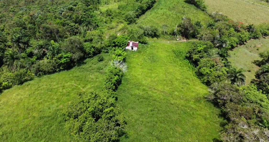 Finca de 106 Tareas con vocación Agrícola y Ganadera en  sabana Grande Foto 7293690-2.jpg