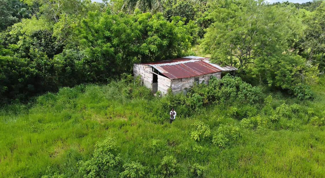Finca de 106 Tareas con vocación Agrícola y Ganadera en  sabana Grande Foto 7293690-3.jpg