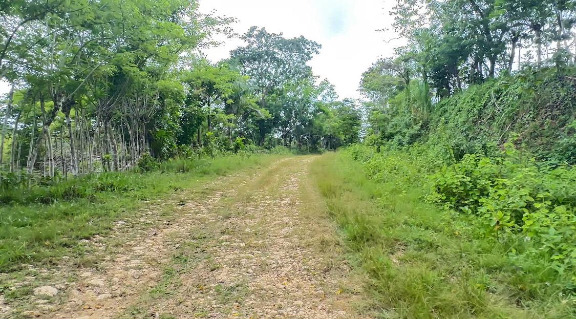 Finca de 106 Tareas con vocación Agrícola y Ganadera en  sabana Grande Foto 7293690-4.jpg