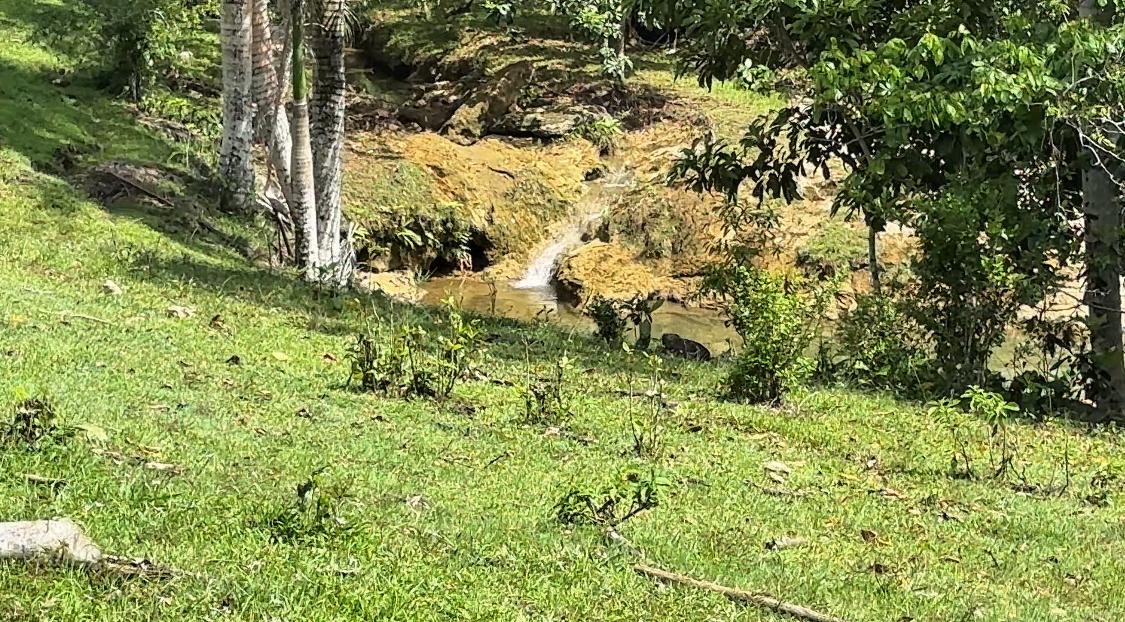 Finca de 106 Tareas con vocación Agrícola y Ganadera en  sabana Grande Foto 7293690-5.jpg