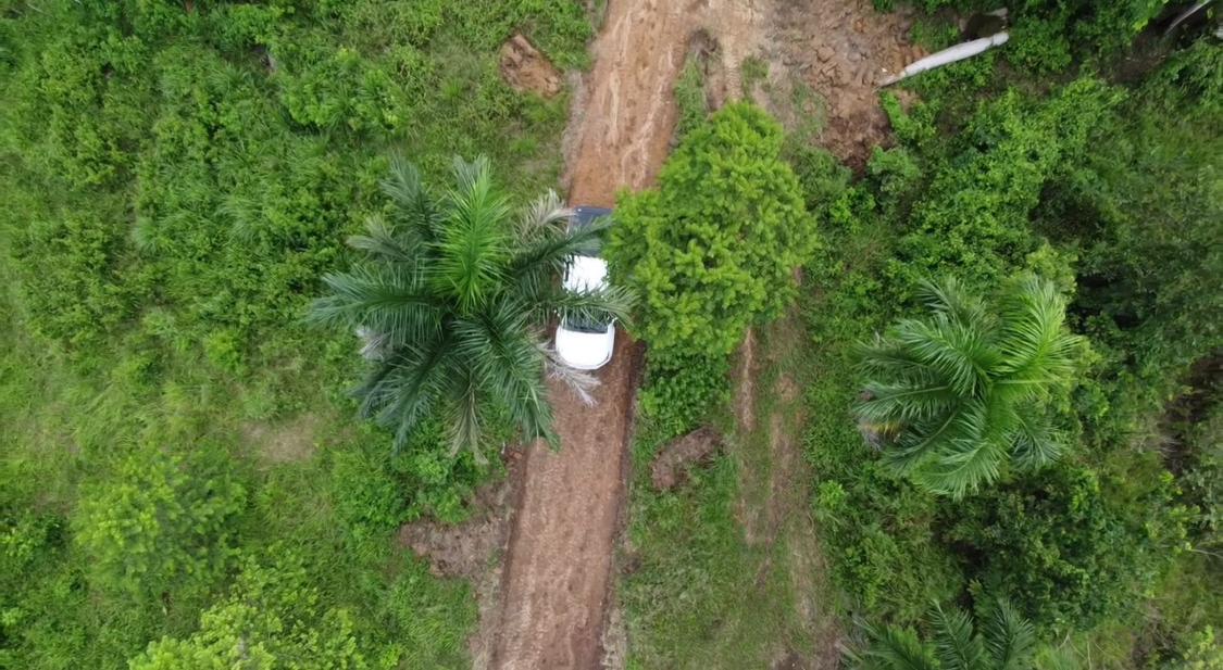 Oportunidad finca de 84 tareas totalmente agrícola en su mayoría sembr Foto 7293701-2.jpg