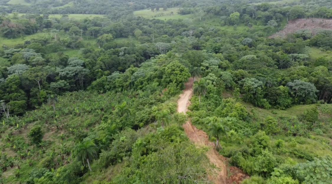 Oportunidad finca de 84 tareas totalmente agrícola en su mayoría sembr Foto 7293701-4.jpg