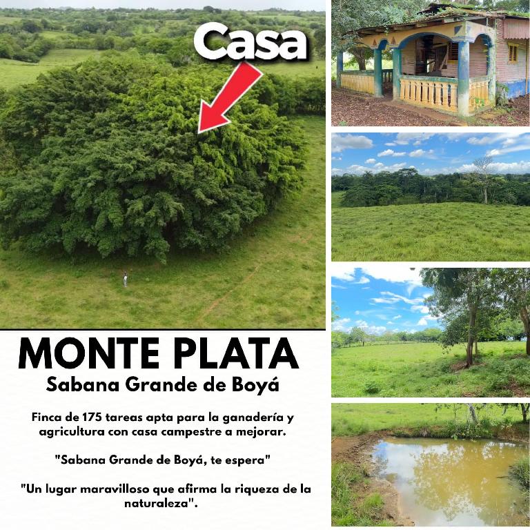 ganadería y agricultura con casa campestre a Mejorar en Sabana Grande  Foto 7293706-1.jpg