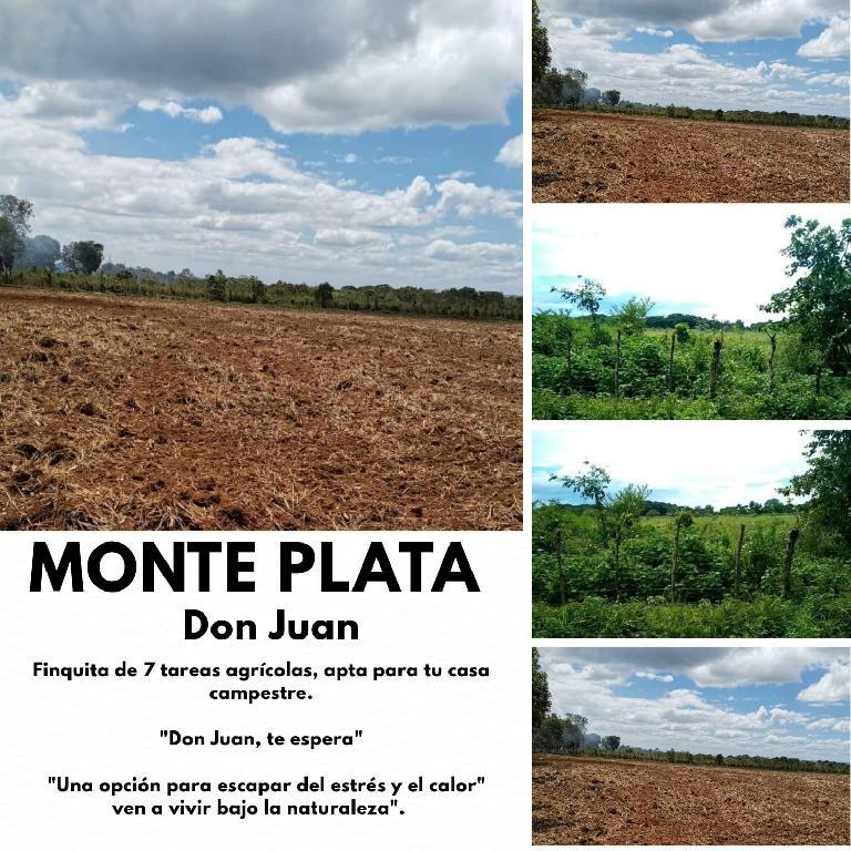 Finca de 7 tareas apta para la agricultura y casa campestre en Don Jua Foto 7293709-1.jpg