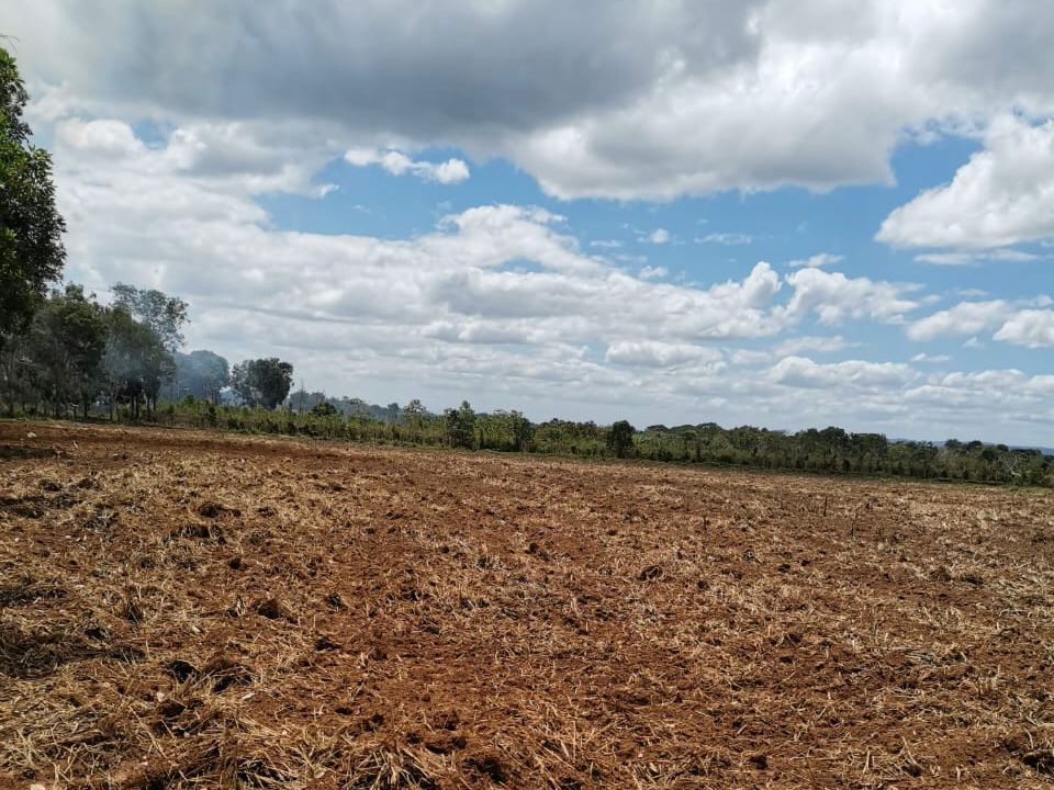 Finca de 7 tareas apta para la agricultura y casa campestre en Don Jua Foto 7293709-2.jpg