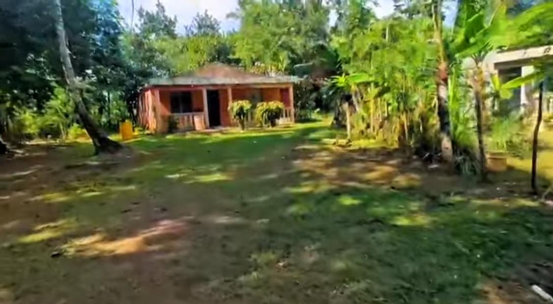 Finquita de  2 Tareas con casa campestre o mejorar a remodelar en Mont Foto 7293719-4.jpg