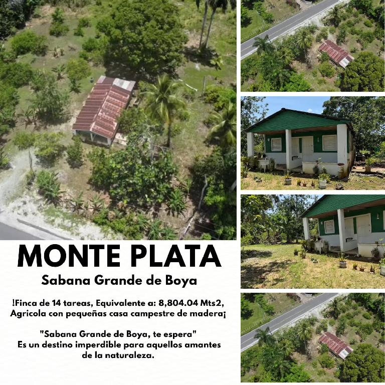 Finca de 14 tareas agrícolas con casa campestre en Sabana Grande de Bo Foto 7293721-1.jpg