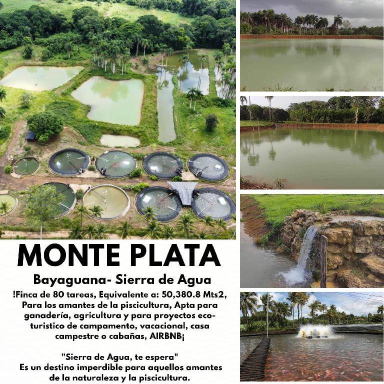 Finca de 80 tareas  para los amantes de la piscicultura con proyecto d Foto 7293740-1.jpg
