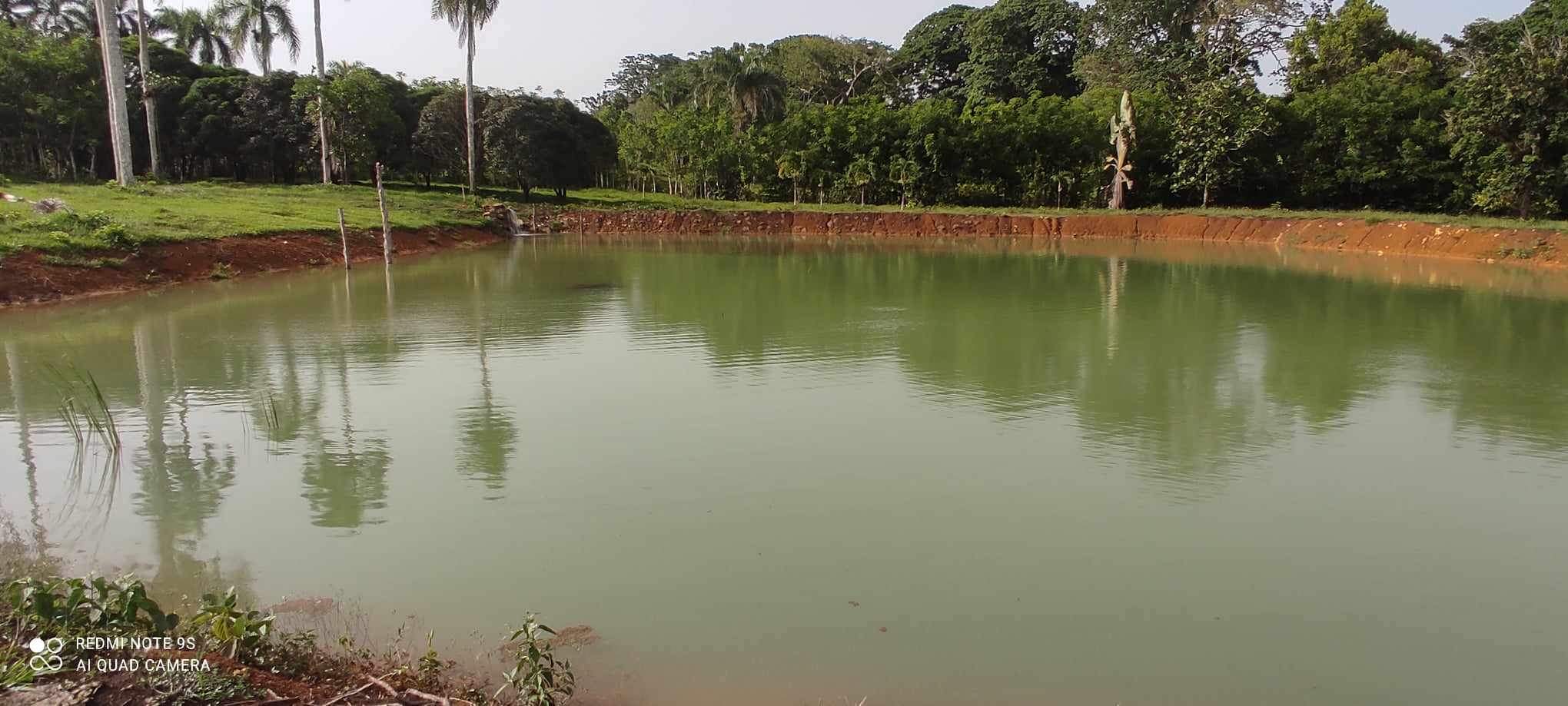 Finca de 80 tareas  para los amantes de la piscicultura con proyecto d Foto 7293740-3.jpg