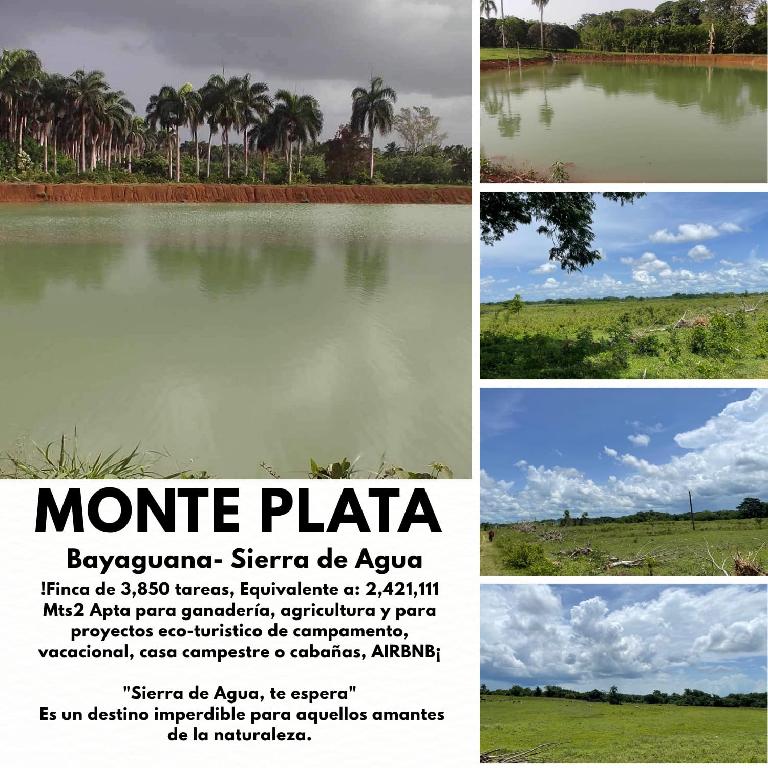 Oportunidad finca de 3850 tareas apta para la ganadería y agricultura Foto 7293741-1.jpg
