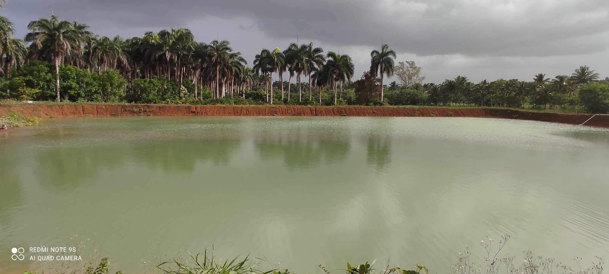 Oportunidad finca de 3850 tareas apta para la ganadería y agricultura Foto 7293741-3.jpg