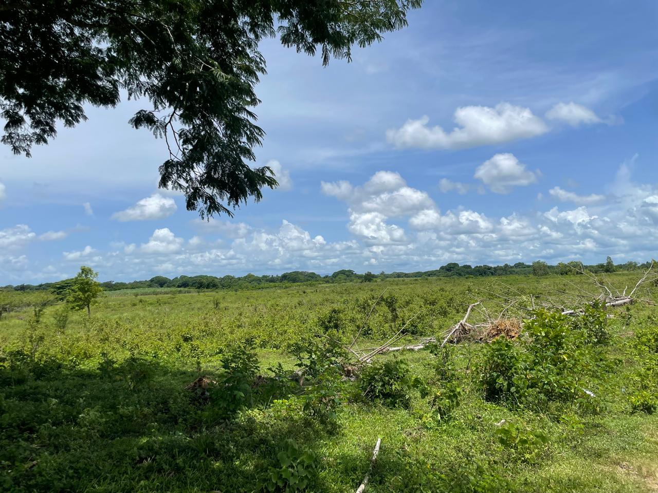 Oportunidad finca de 3850 tareas apta para la ganadería y agricultura Foto 7293741-5.jpg