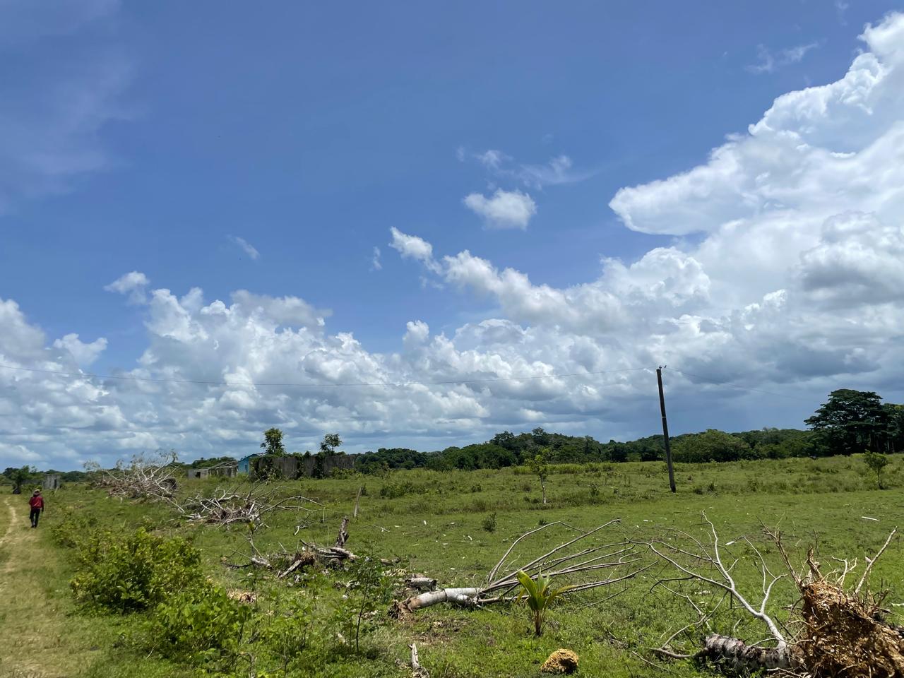 Oportunidad finca de 3850 tareas apta para la ganadería y agricultura Foto 7293741-6.jpg
