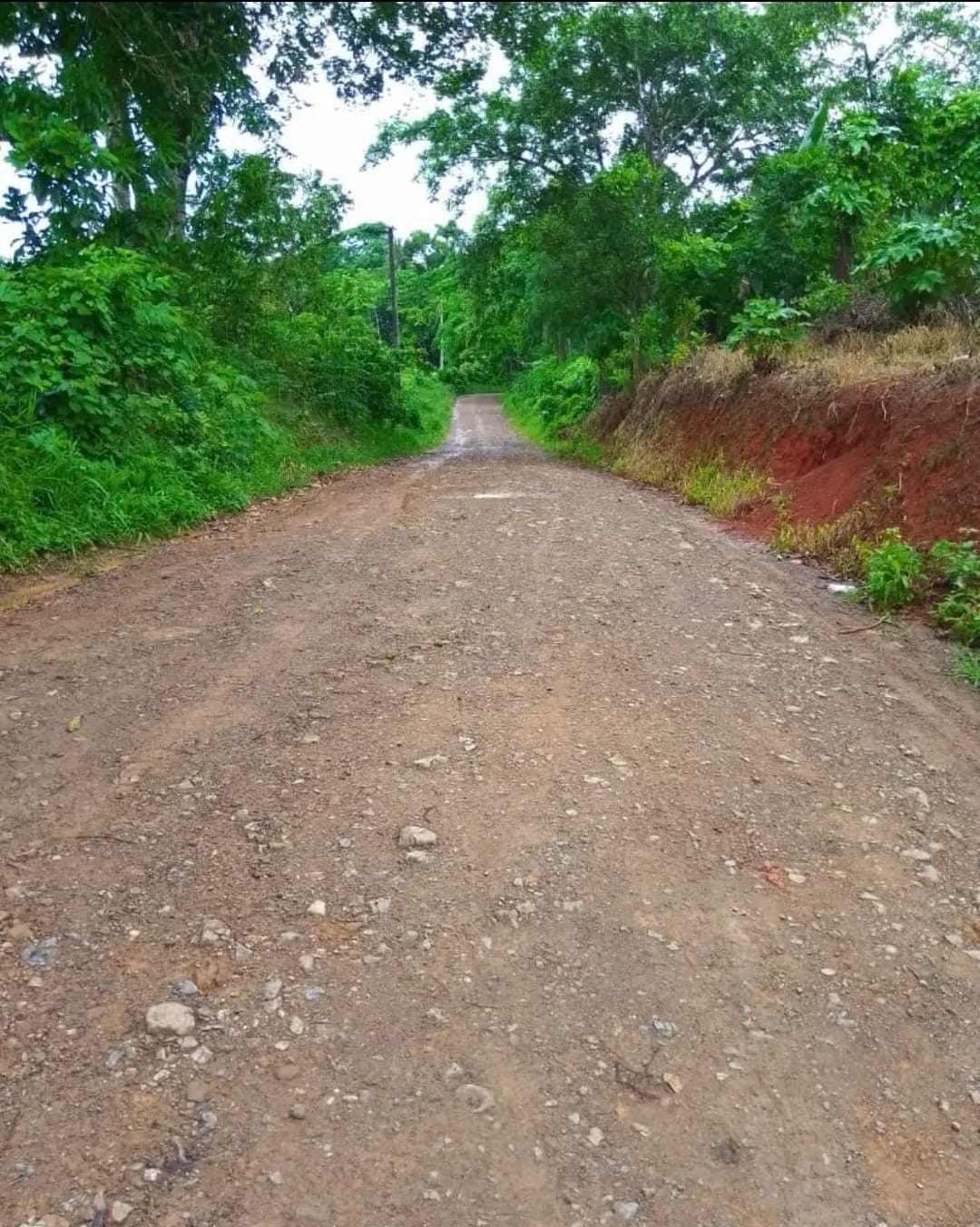Oportunidad finca de 3260 tareas apta para la ganadería y agricultura  Foto 7293742-2.jpg
