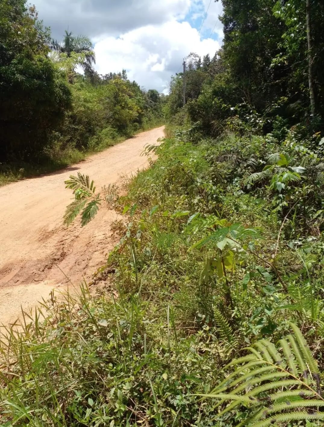 Oportunidad finca de 3260 tareas apta para la ganadería y agricultura  Foto 7293742-8.jpg