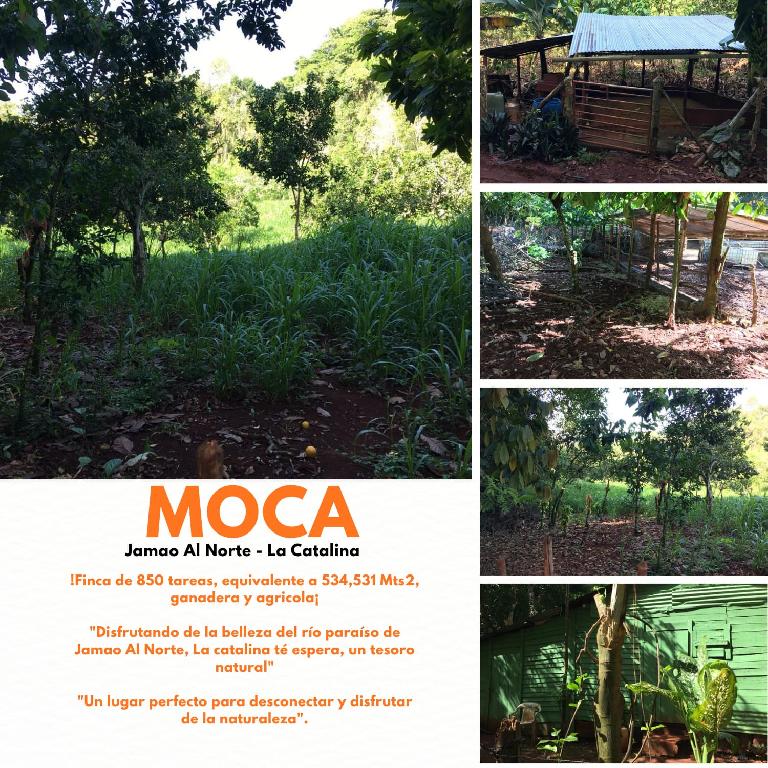 Oportunidad finca de 850 tareas con vocación ganaderra y agrícola en J Foto 7293752-1.jpg