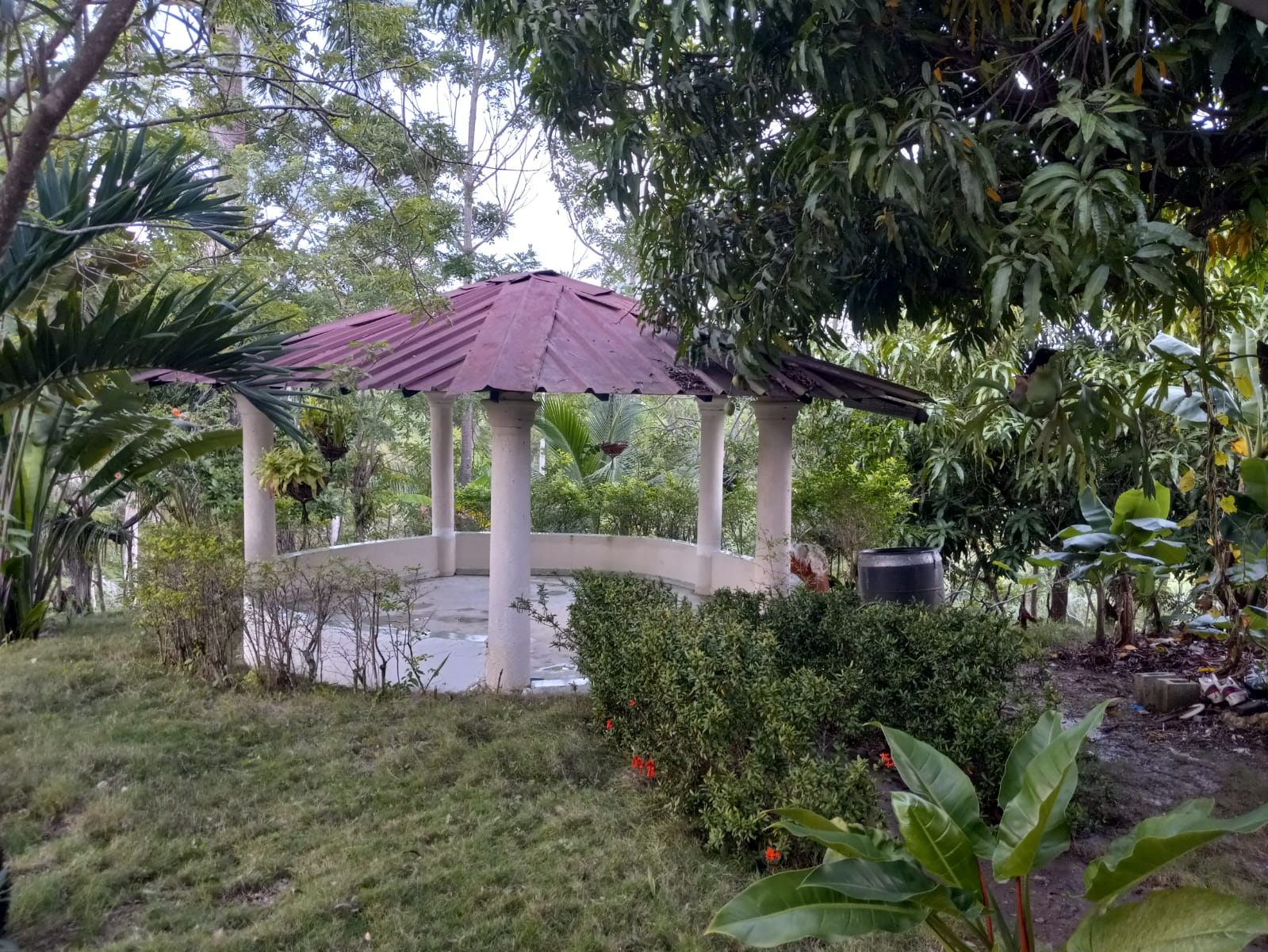 Finca de 44 tareas con casa campestre y con vocación Agrícola en Moca Foto 7293758-5.jpg