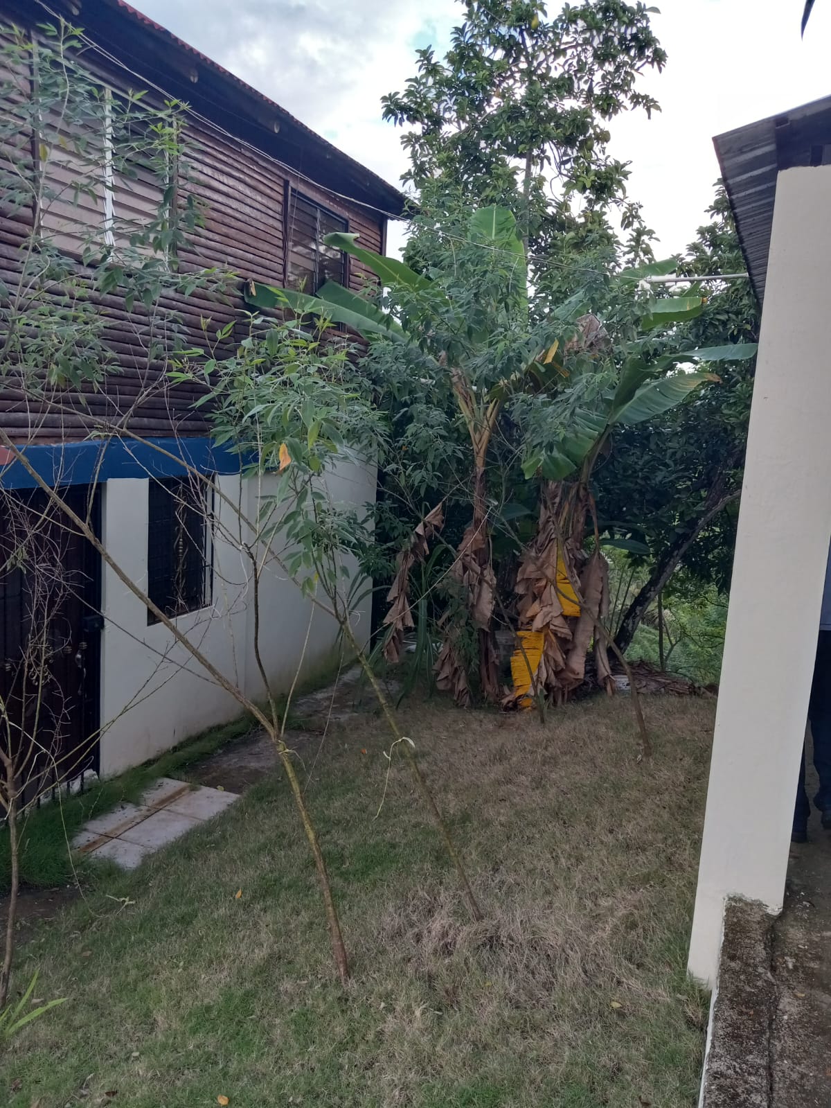 Finca de 44 tareas con casa campestre y con vocación Agrícola en Moca Foto 7293758-6.jpg