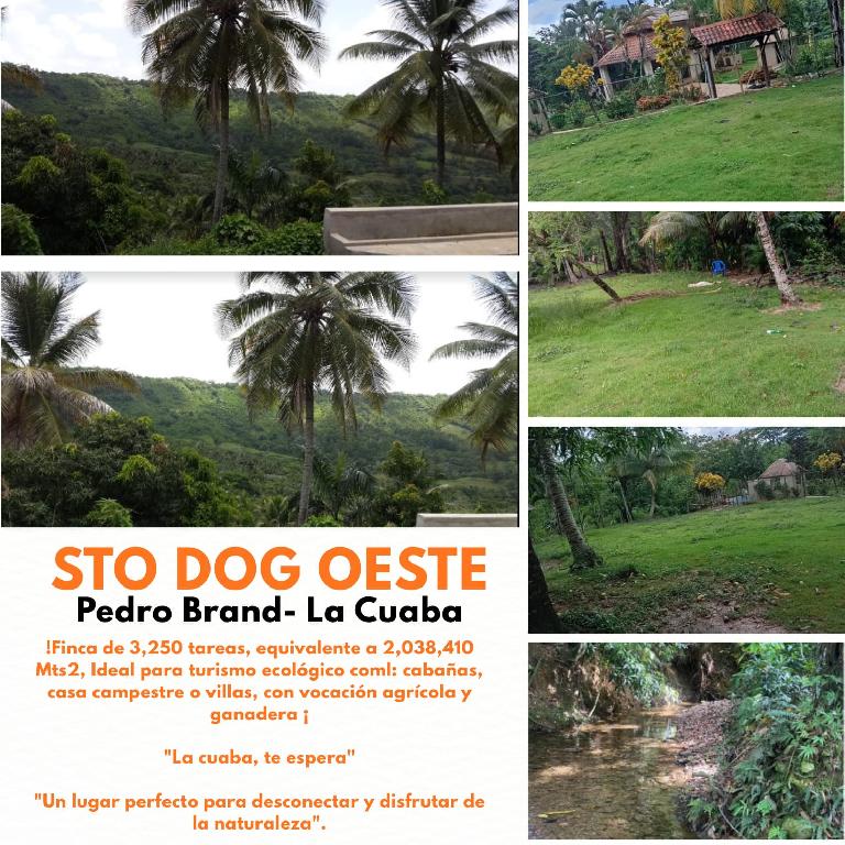 Finca de 3 250 tareas Ideal para turismo ecológico y casa campestre o  Foto 7293760-1.jpg