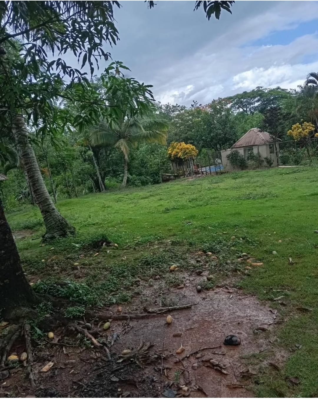 Finca de 3 250 tareas Ideal para turismo ecológico y casa campestre o  Foto 7293760-3.jpg