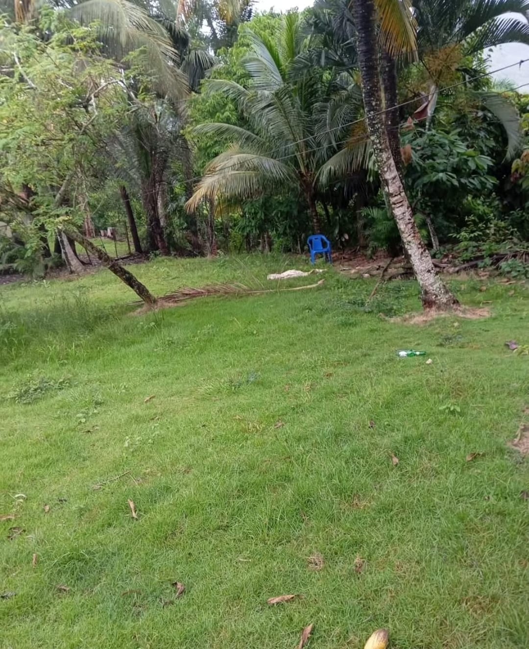 Finca de 3 250 tareas Ideal para turismo ecológico y casa campestre o  Foto 7293760-5.jpg