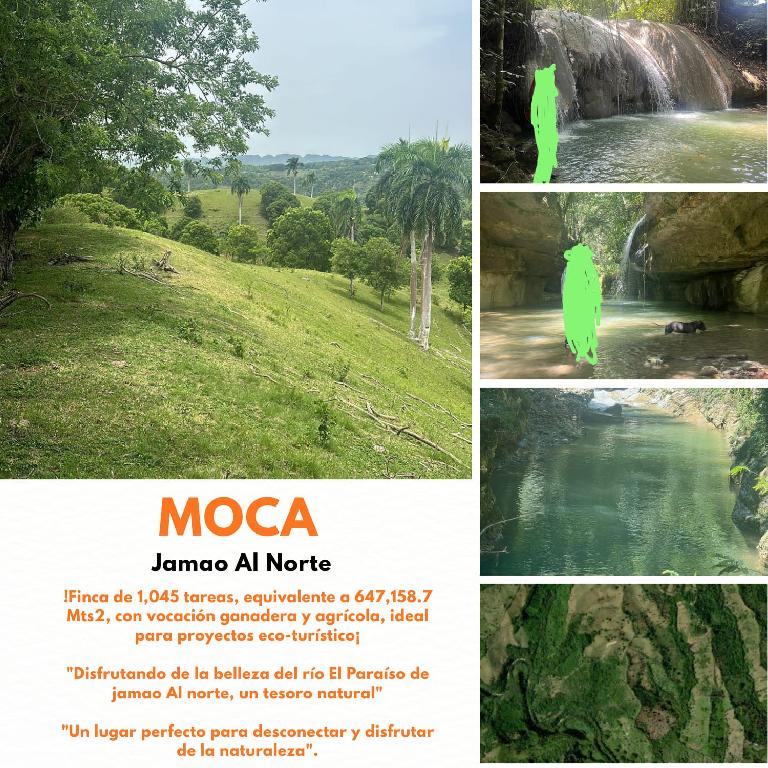 Vendo de oportunidad finca de 1045 tareas apta para la ganadería agric Foto 7293763-1.jpg