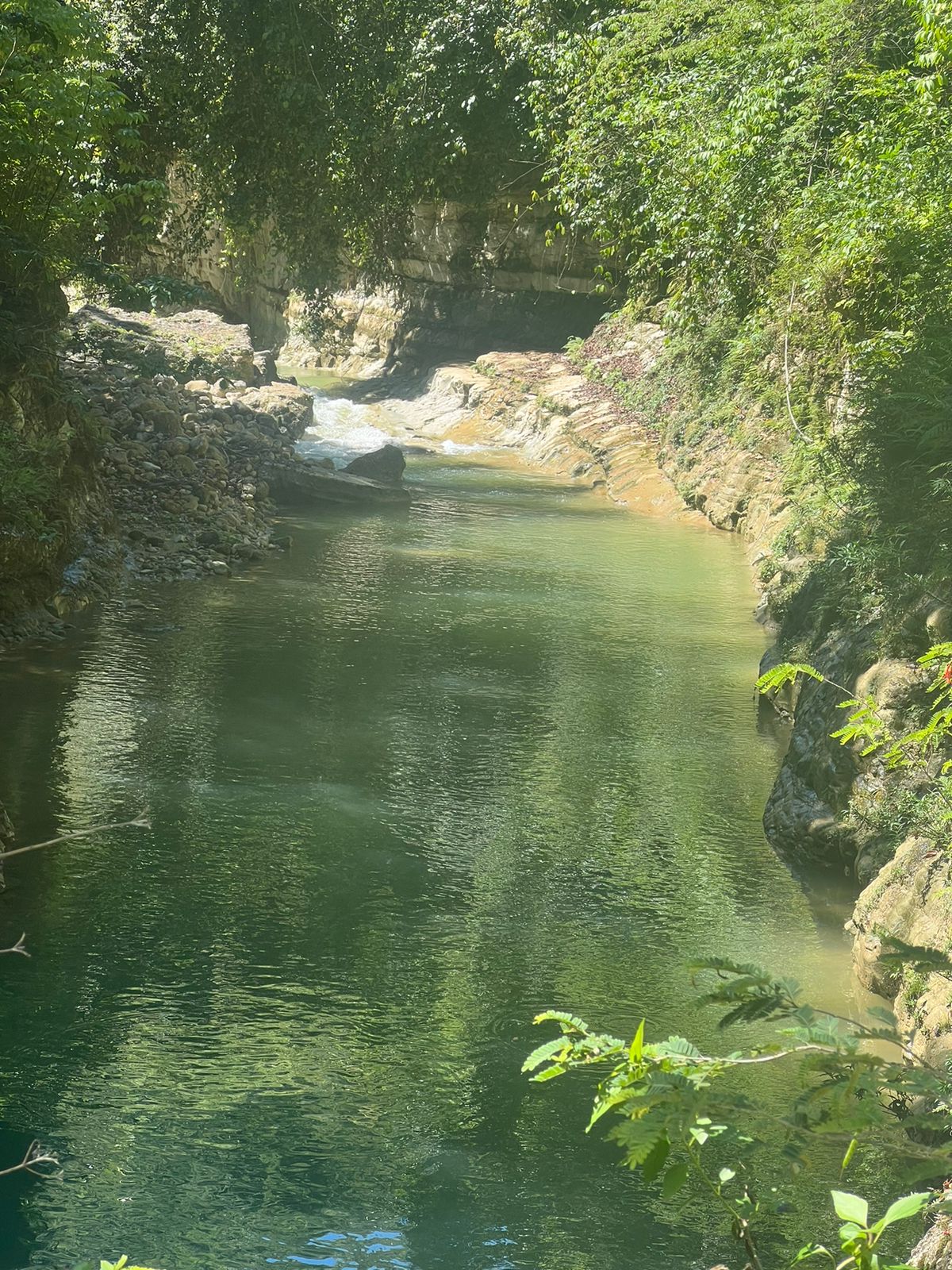 Vendo de oportunidad finca de 1045 tareas apta para la ganadería agric Foto 7293763-2.jpg
