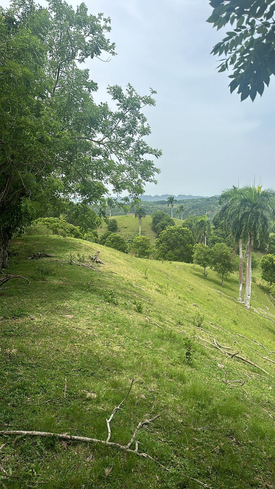 Vendo de oportunidad finca de 1045 tareas apta para la ganadería agric Foto 7293763-3.jpg