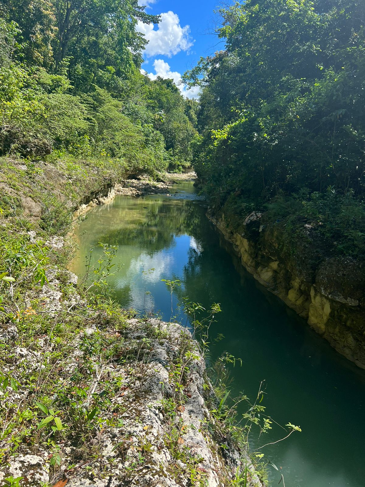 Vendo de oportunidad finca de 1045 tareas apta para la ganadería agric Foto 7293763-5.jpg