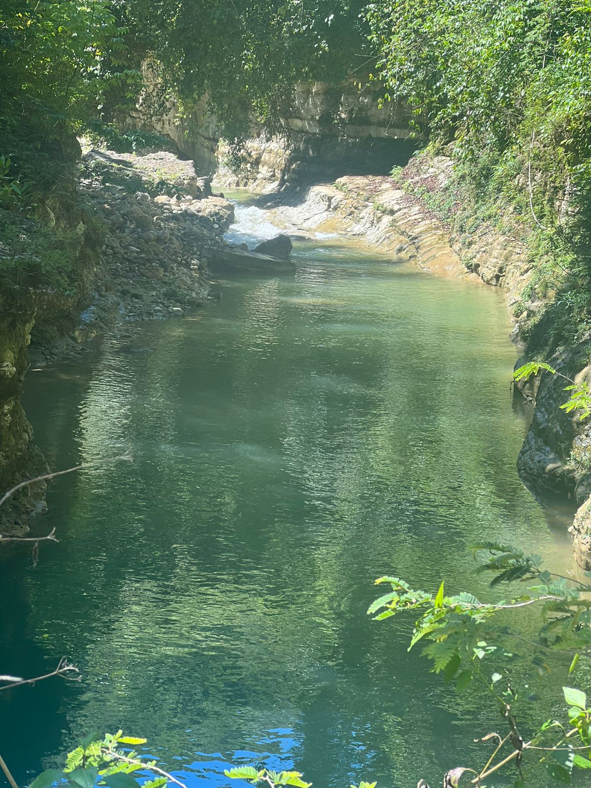 Vendo de oportunidad finca de 1045 tareas apta para la ganadería agric Foto 7293763-6.jpg