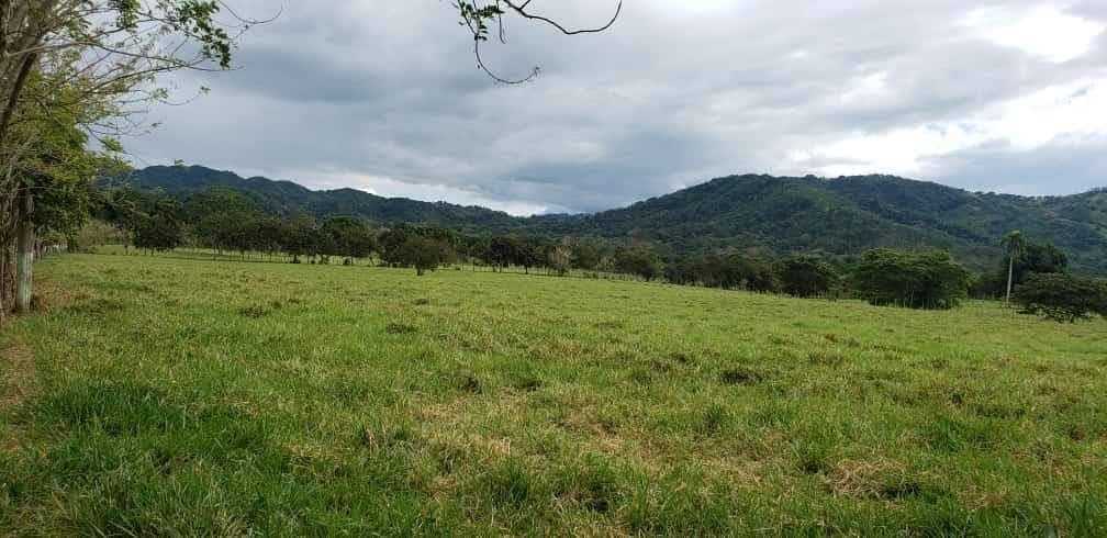 Finca de 3750 tareas ganaderas totalmente equipadas en  La vaga  Foto 7293766-4.jpg