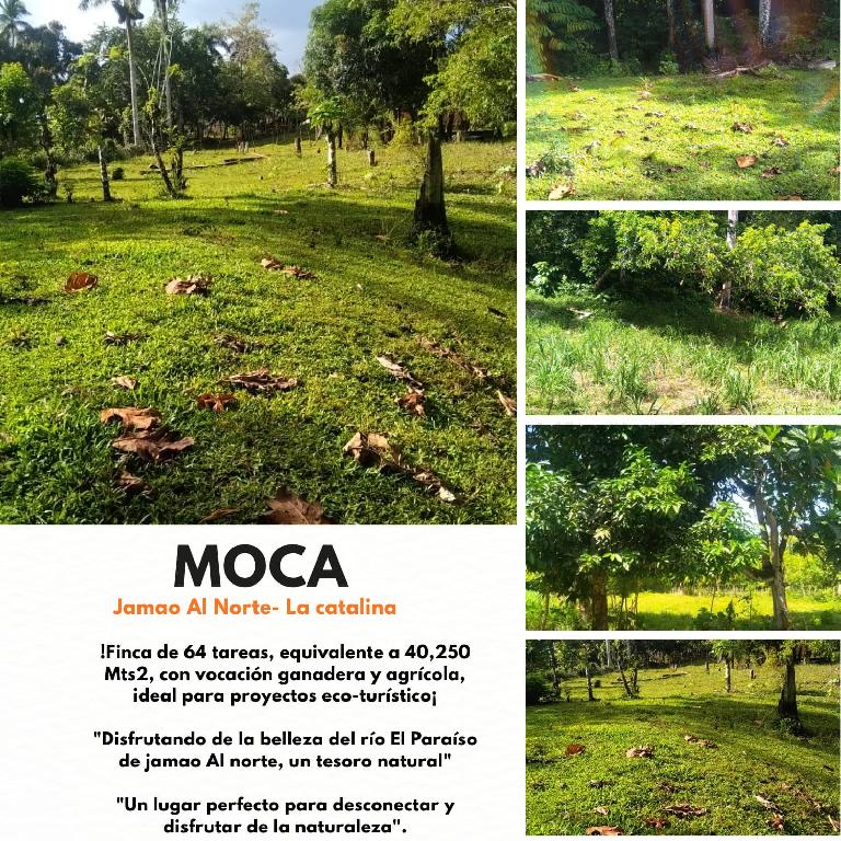 Terreno de 40250 Mts2 ideal para su casa campestre o proyectos eco-tur Foto 7293767-1.jpg