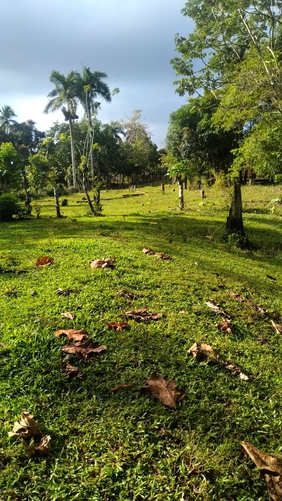Terreno de 40250 Mts2 ideal para su casa campestre o proyectos eco-tur Foto 7293767-2.jpg