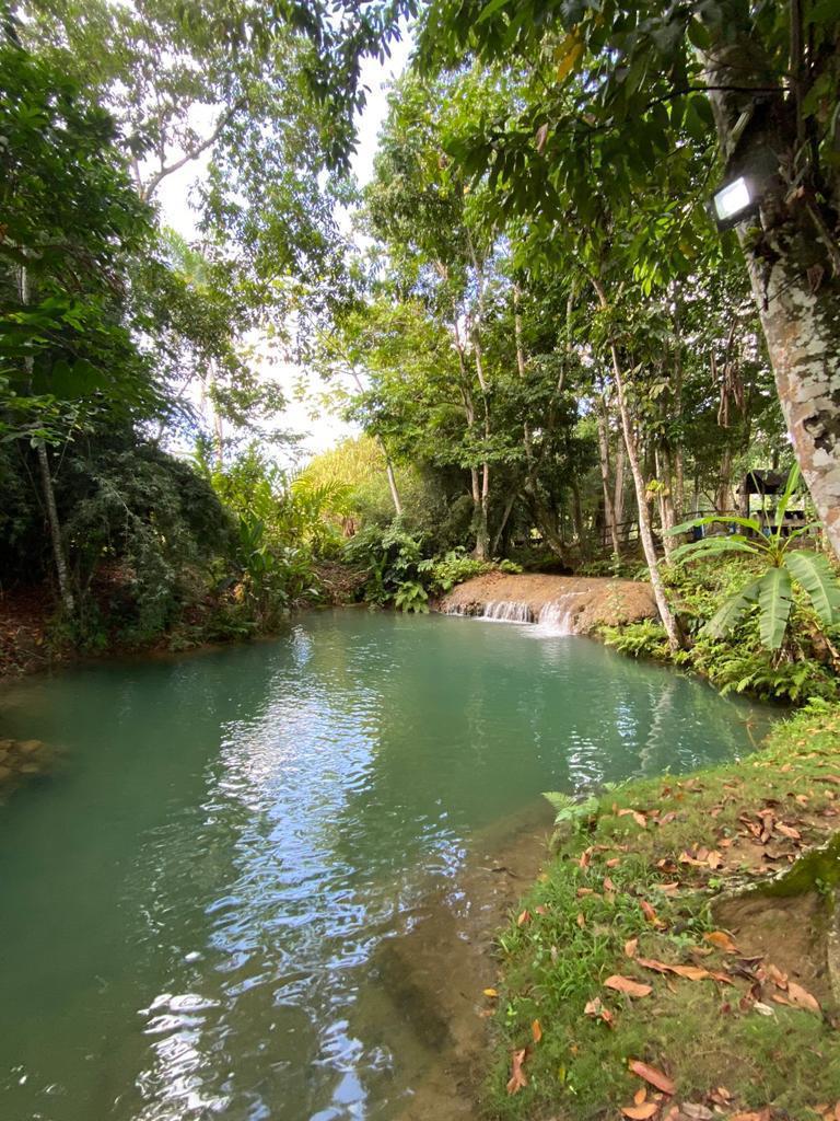 Lujosa y paradisíaca finca de 500 tareas con casa campestre o cabaña m Foto 7293768-6.jpg