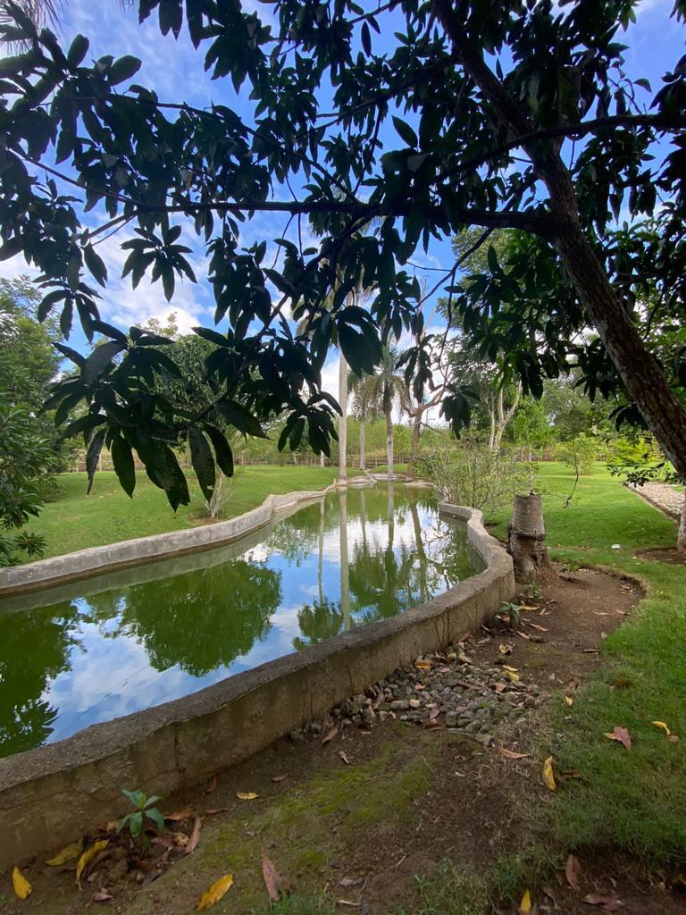 Lujosa y paradisíaca finca de 500 tareas con casa campestre o cabaña m Foto 7293768-7.jpg