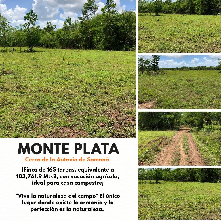 Finca de 165 tareas con vocación agrícola y ganadera ideal para su cas Foto 7293770-1.jpg