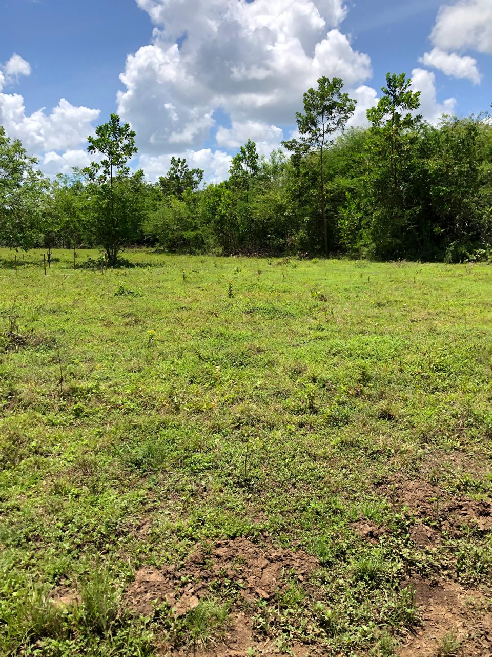 Finca de 165 tareas con vocación agrícola y ganadera ideal para su cas Foto 7293770-2.jpg