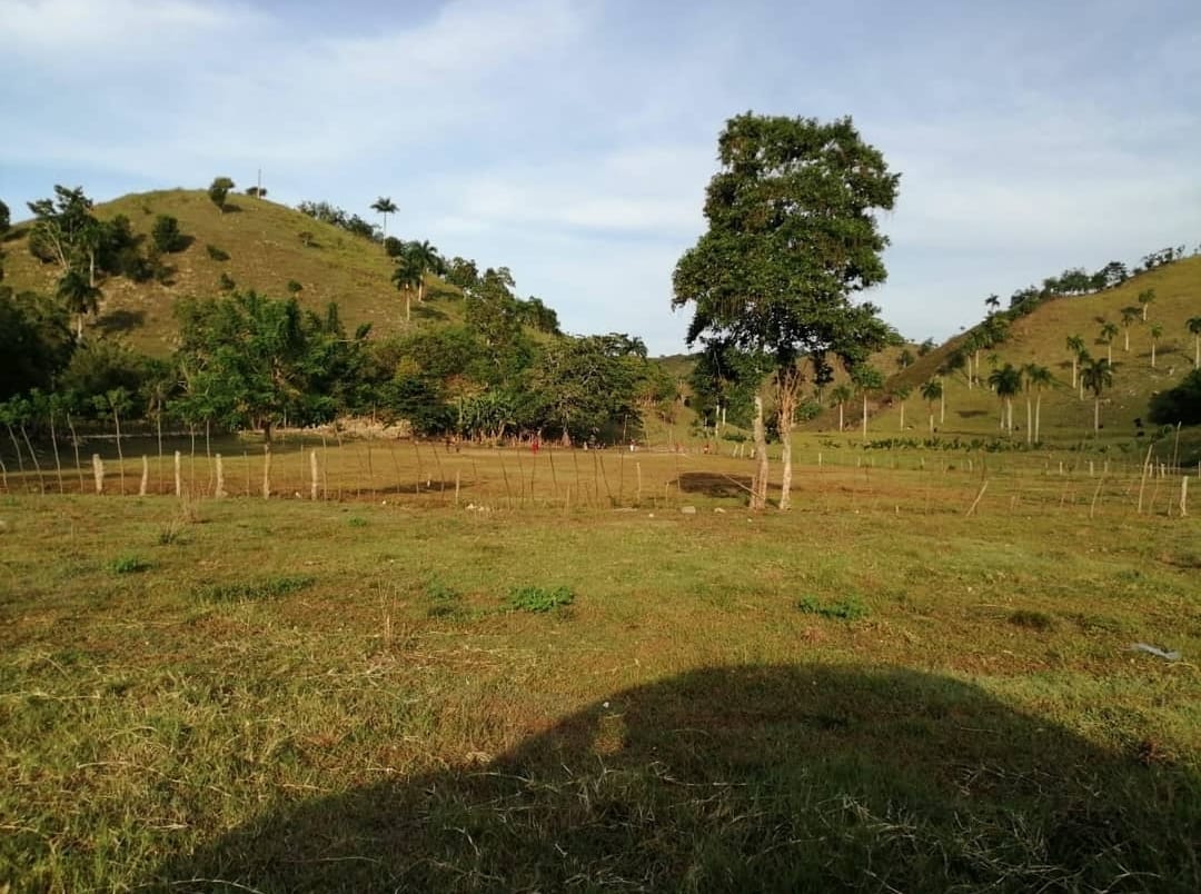 Excelente fincade 6900 tareas totalmente ganadera con casa campestre y Foto 7294361-11.jpg