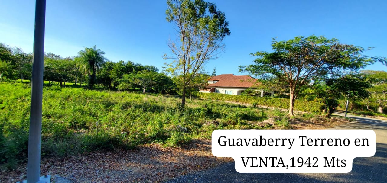 Terreno en VENTA Guavaberry Juan Dolio. Foto 7294462-2.jpg