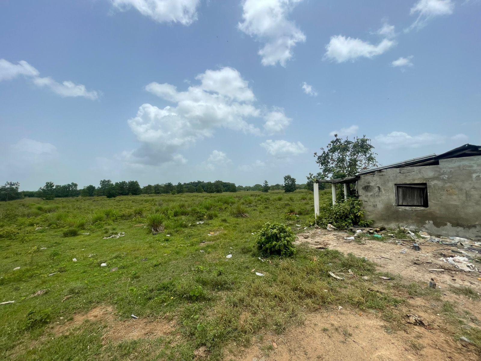 Vendo Finca de 1650 tareas en Santo Domingo Norte a la Orilla del ASFA Foto 7294776-2.jpg