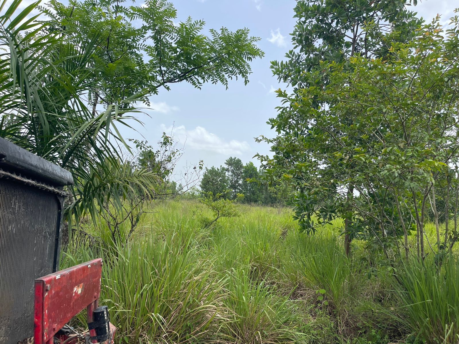 Vendo Finca de 1650 tareas en Santo Domingo Norte a la Orilla del ASFA Foto 7294776-4.jpg