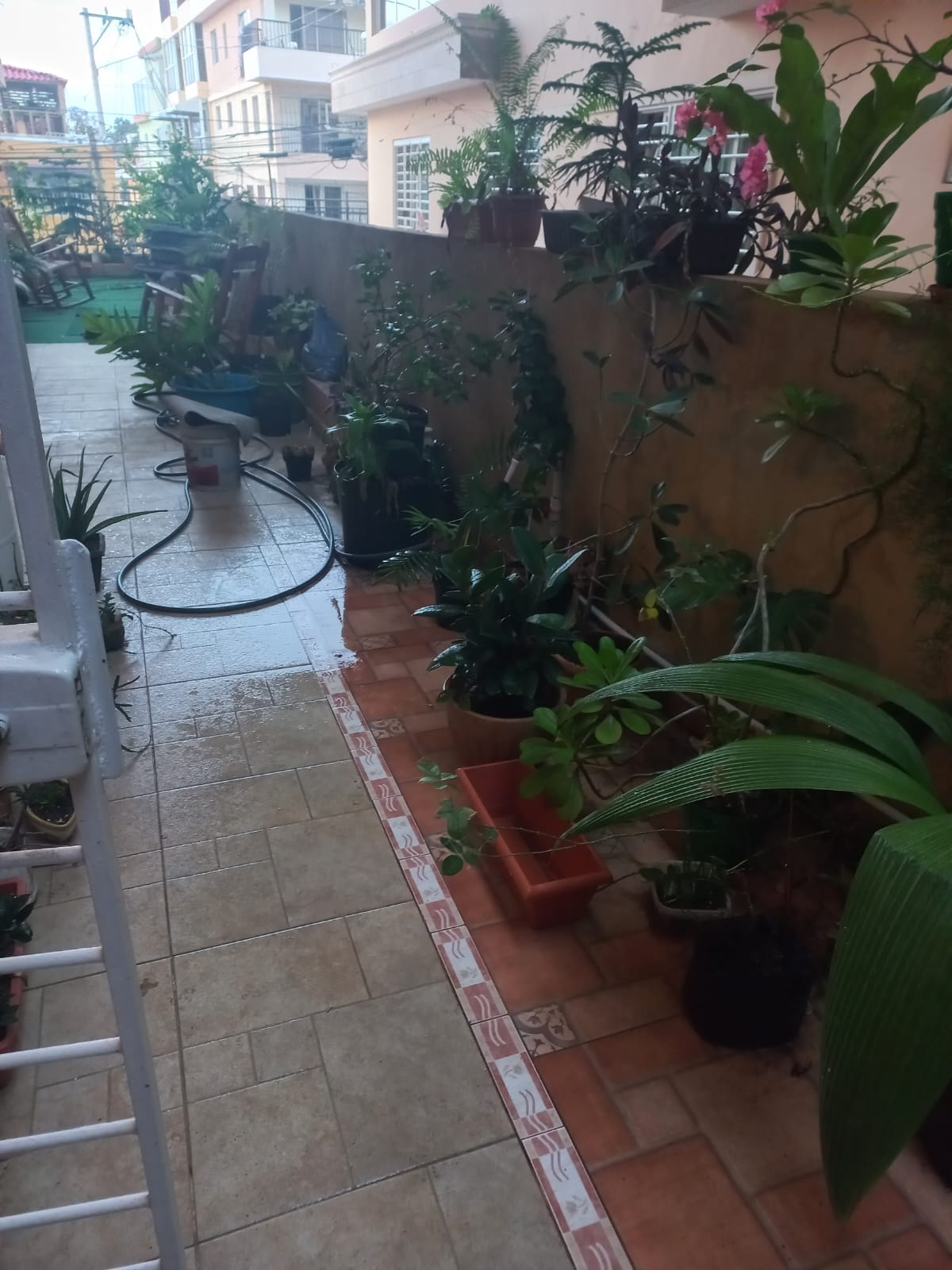 apto en la avenida España De 226 M2 Con Terraza Perimetral 3 hab Foto 7295528-6.jpg