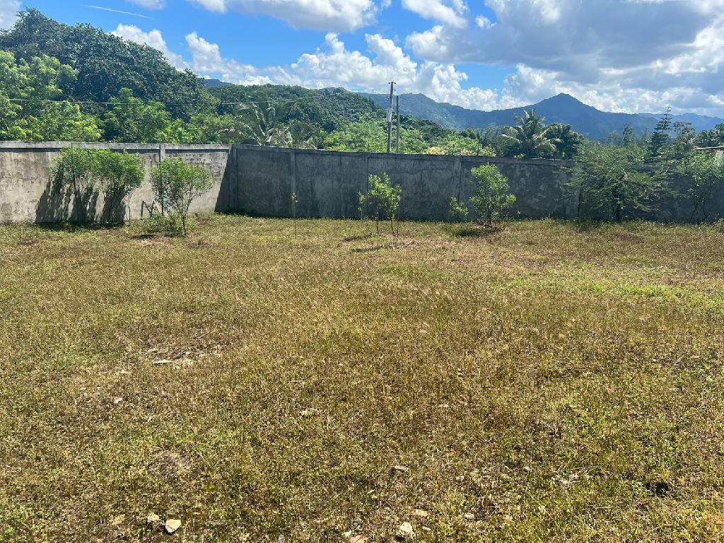  Se Vende Finquita con Potencial en Villa Altagracia  Foto 7295555-5.jpg
