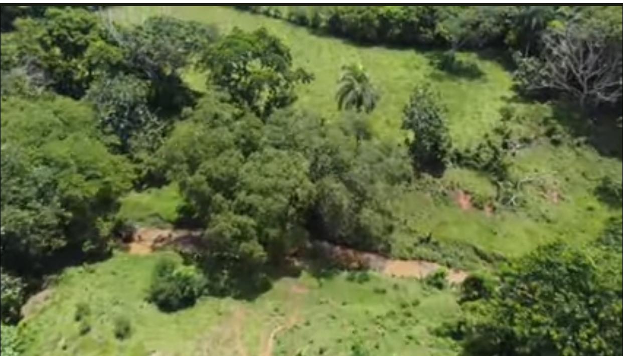 Vendo SUPER Finca Ganadera y Agrícola  de 500 Tareas en Don Juan Monte Foto 7296225-9.jpg