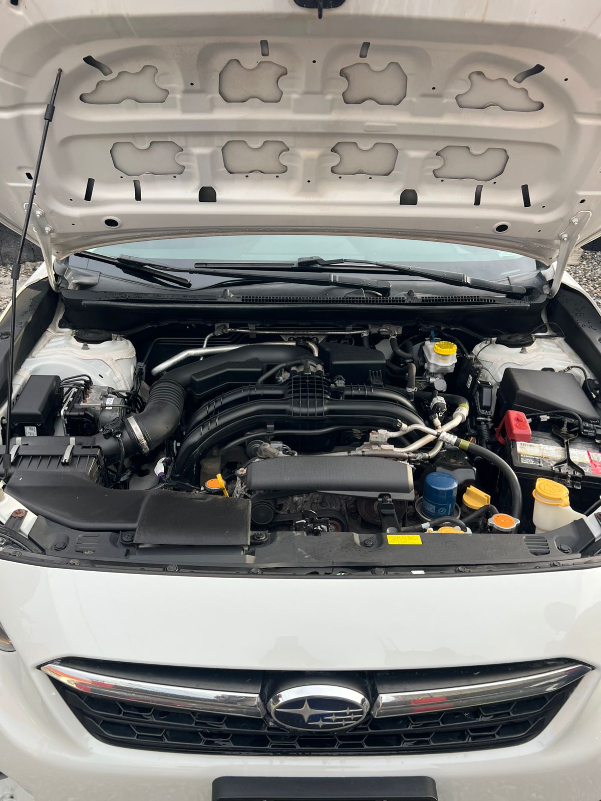 Subaru impresa Hatchback 2020 Clean Carfax  Foto 7297854-5.jpg