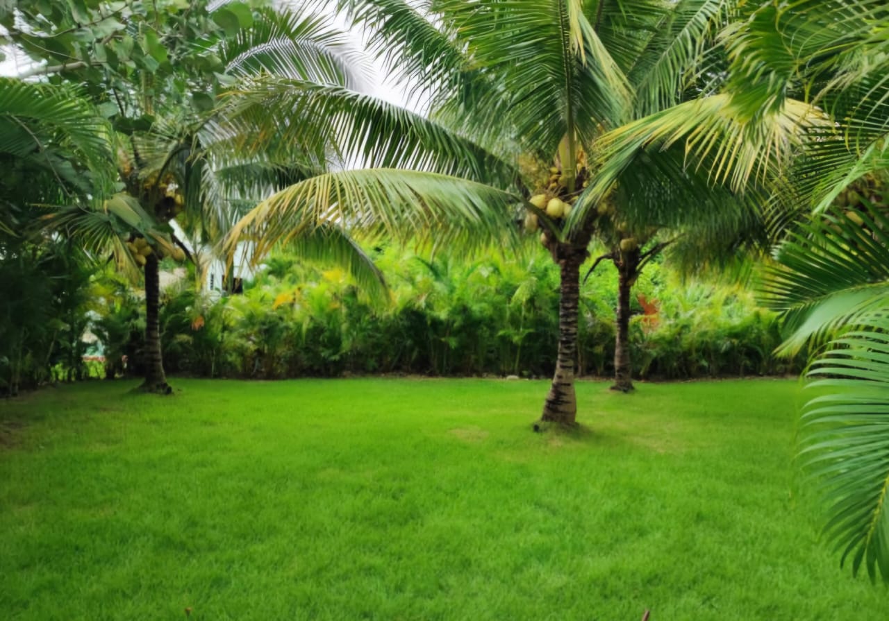 Villa en Venta en Playa Nueva Romana Foto 7298014-10.jpg